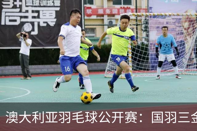 澳大利亚羽毛球公开赛：国羽三金两银收官